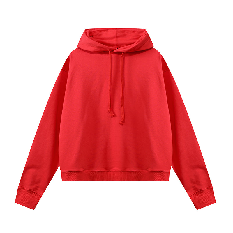 Brand same style homogeneous double-strand hoodie 420g, Customizable Logo/Text/Image.